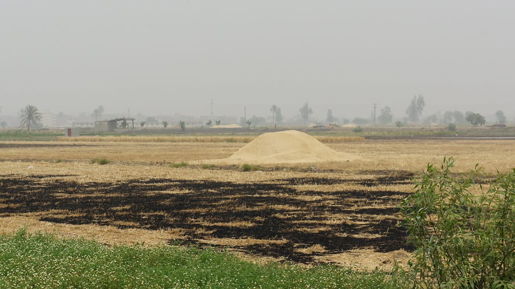 التغيرات المناخية في مصر