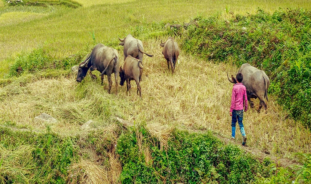 تغير المناخ