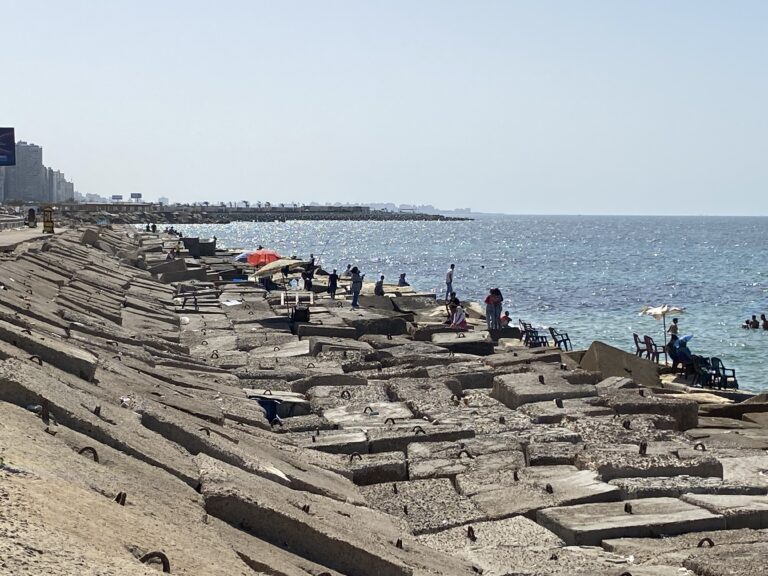 تصوير رحاب عبد المحسن. 