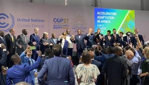 الهدف العالمي للتكيف