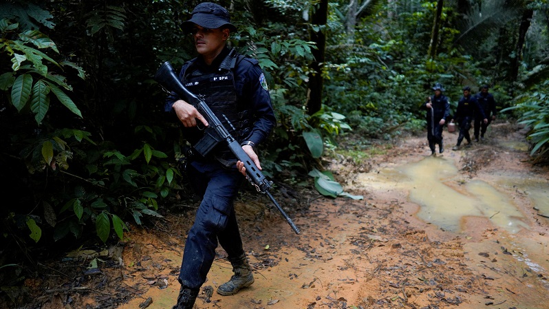 إزالة الغابات بالمخدرات