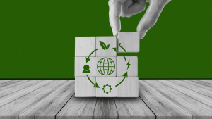 الاقتصاد الدائري في مصر