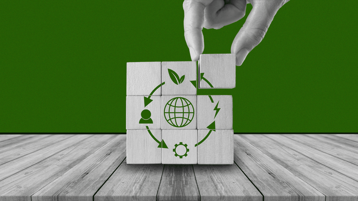 الاقتصاد الدائري في مصر