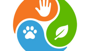 الصحة الواحدة