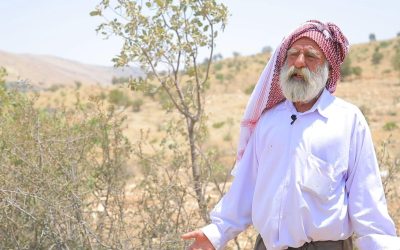 WhatsApp Image 2026-01-01 at 12.57.26